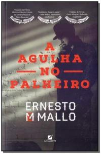 A Agulha no palheiro